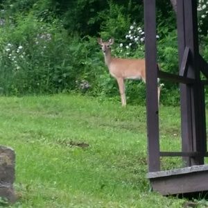 Meet your Posher, Michele